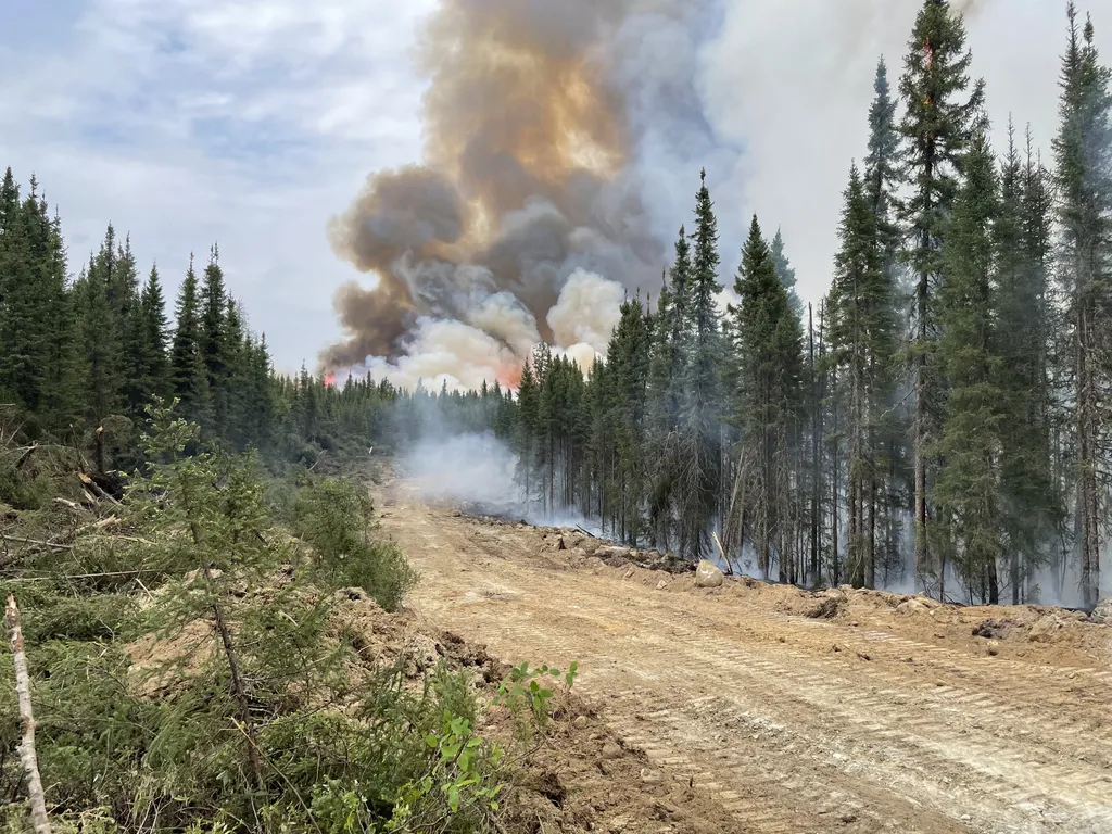 erdőtűz, tűz, erdő, Kanada, French firefighters assist with Canada wildfires Canada,fire,forest,France,Quebec,wildfires Horizontal 