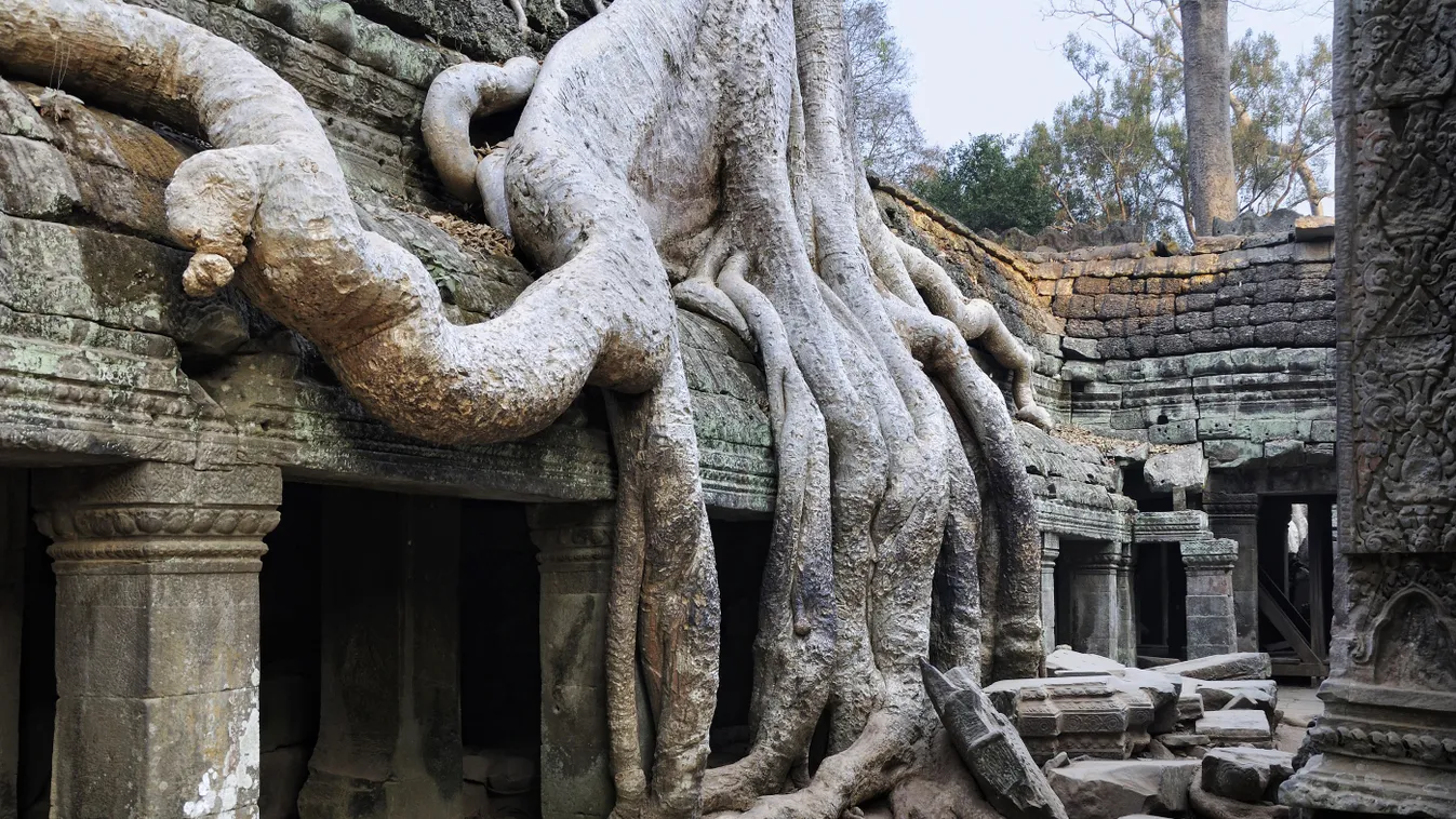 Angkor Archaeology Architecture Art Asia Buddha Buddhism Cambodia Education Forest Human And Social Sciences Julien Garcia Jungle Landscape Leisure Monastery Monument Nature No People Religion Rock Root Ruin Sculpture Siem Reap Southeast Asia Spiritual Li