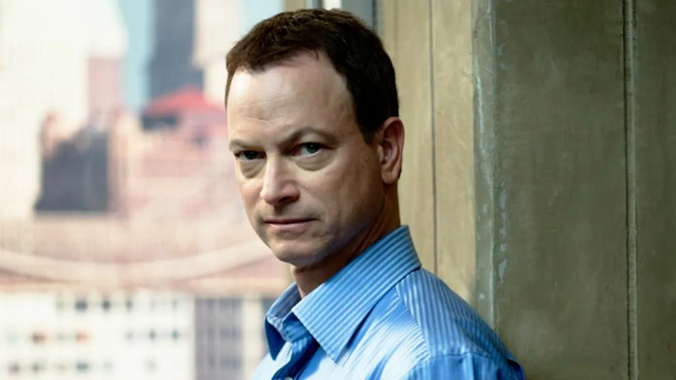 Gary Sinise 