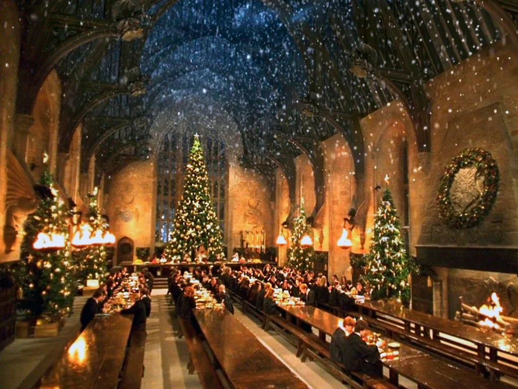 Harry Potter et la chambre des secrets hall salle reception Horizontal 