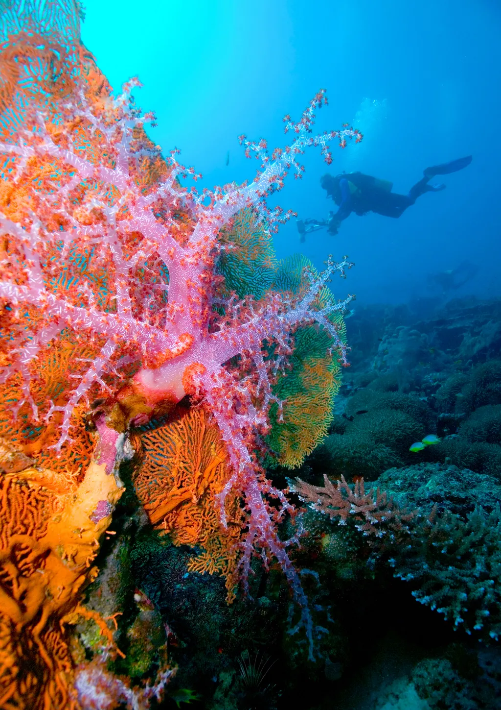 Szimilan-szigetek Thaiföld Similan Islands 