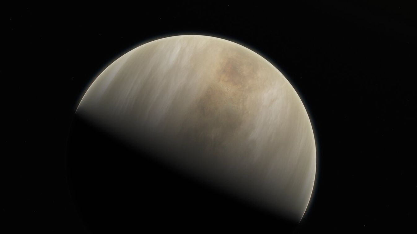 Vénusz 