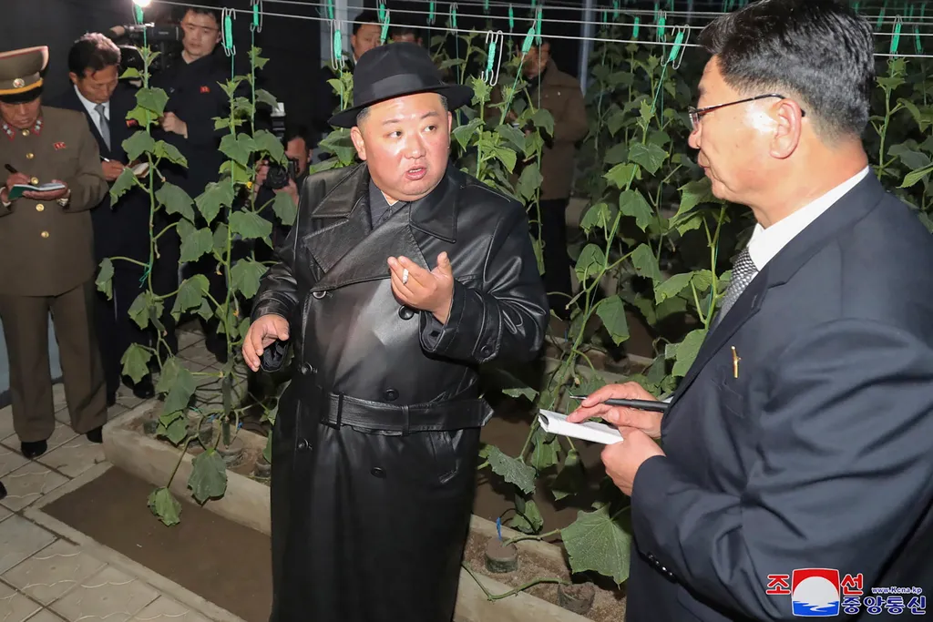 KIM Dzsong Un, észak korea, üvegház farm, farm, üvegház, gazdaság, termelés 