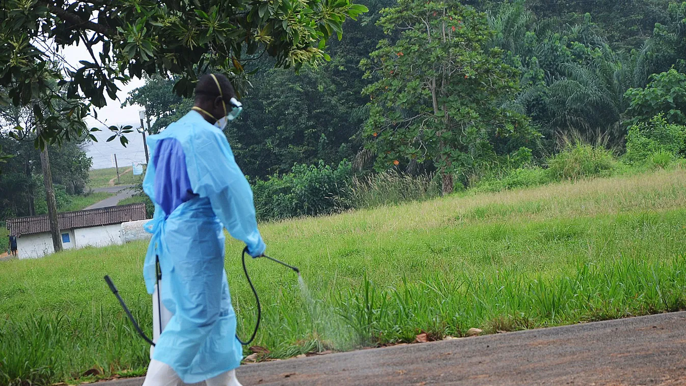 ebola-járvány, ebola vírus, ebola, libéria, fertőtlenítés 