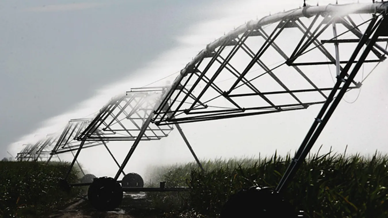 aszály, szárazság, öntözési hivatal, Lineár típusú öntözőrendszer működik egy kukoricatáblán Kisújszállás közelében