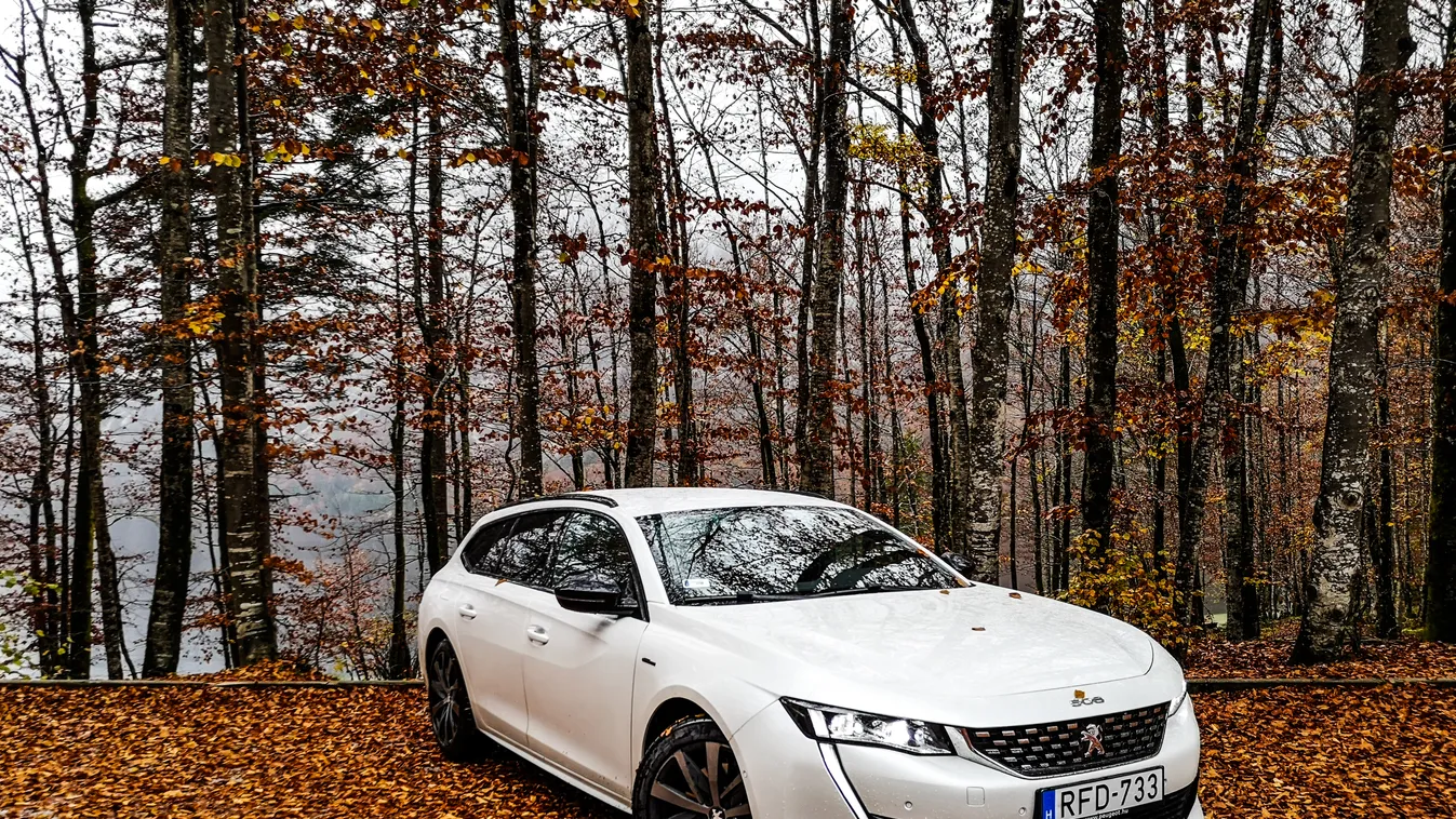 Peugeot 508SW 