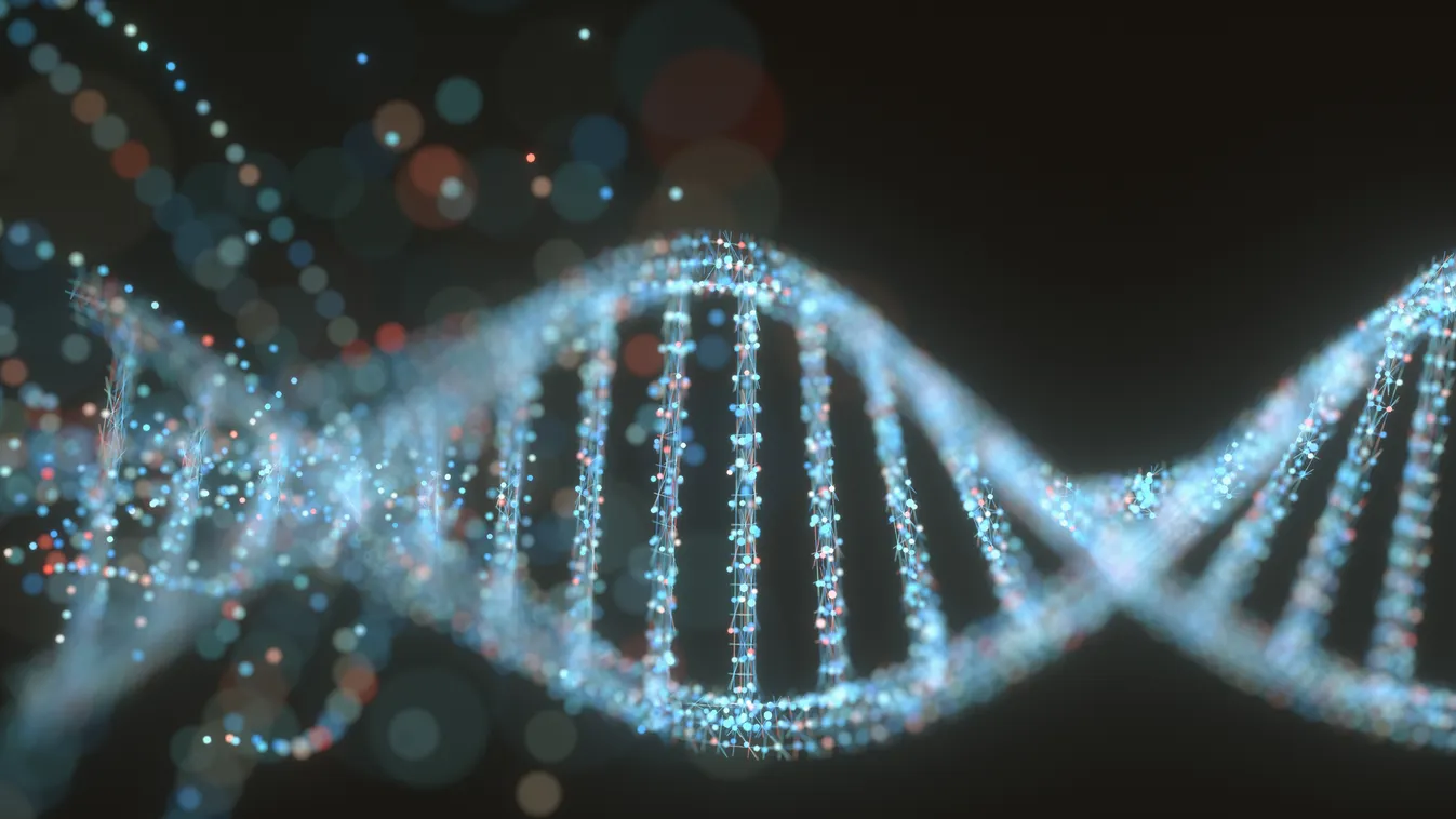genetika öröklődés DNS 