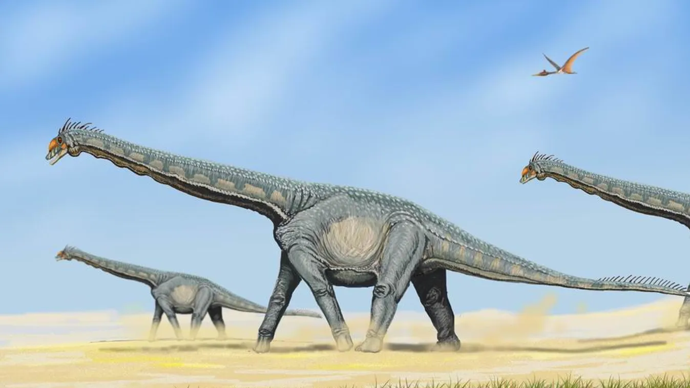 Alamosaurus, szauropoda 
