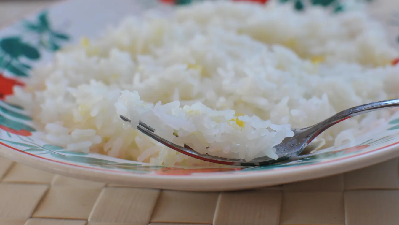 rizs 