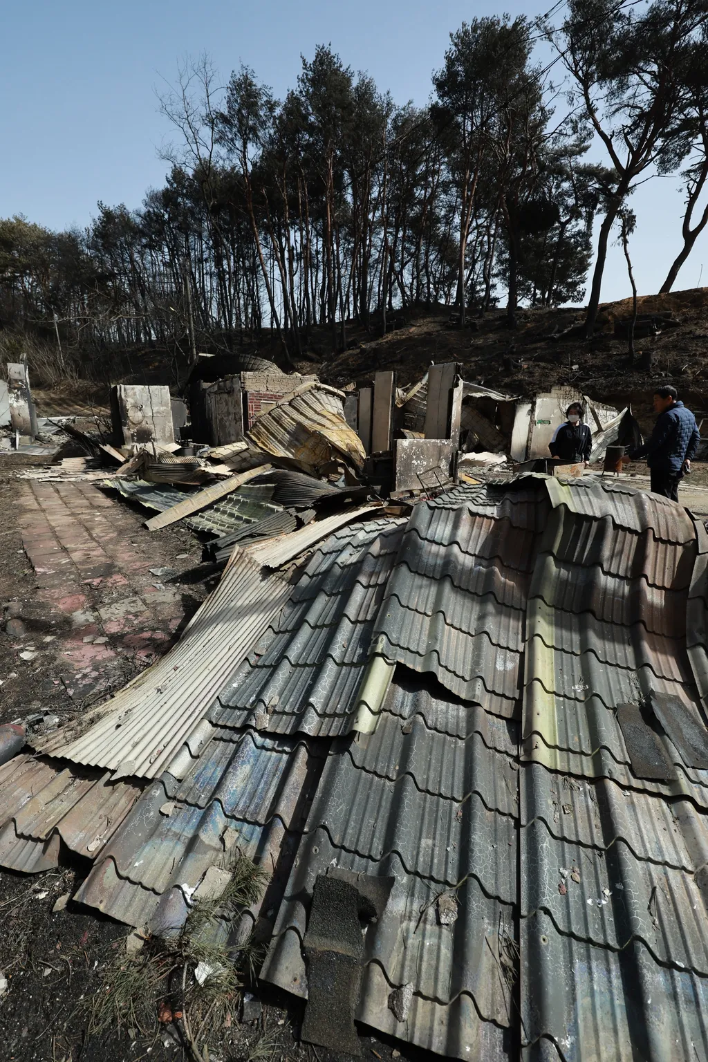 Erdőtűz Dél-Korea tengerpart üdülőhely, Kangnung, 