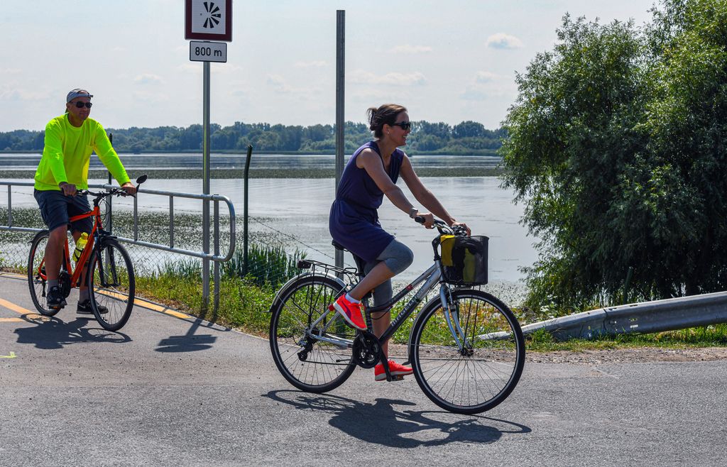 bicikli ÉVSZAK FOTÓ FOTÓTÉMA kerékpár kerékpáros kerékpárút KÖZLEKEDÉSI ESZKÖZ nyár SZEMÉLY TÁJ Tisza-tó tó 