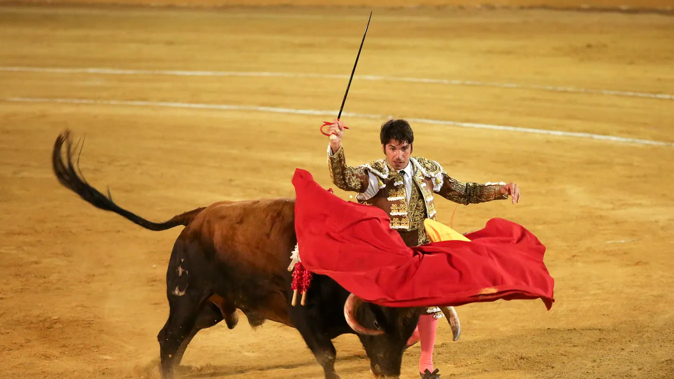 bullfighting, bikaviadal, torreádor, Spanyolország 