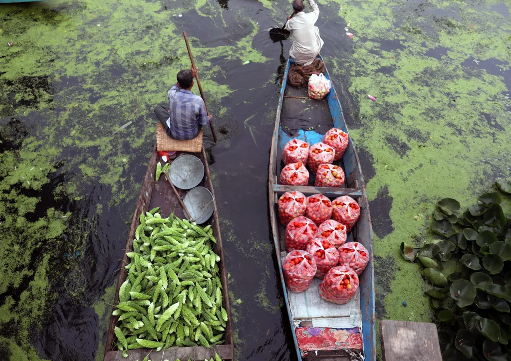 Úszó zöldségpiac Indiában 