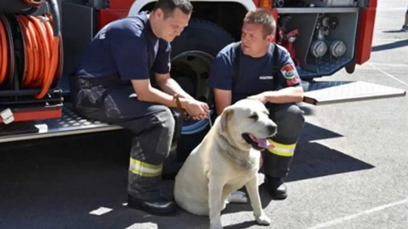 Brúnó kutya, BM Országos Katasztrófavédelmi Főigazgatóság 