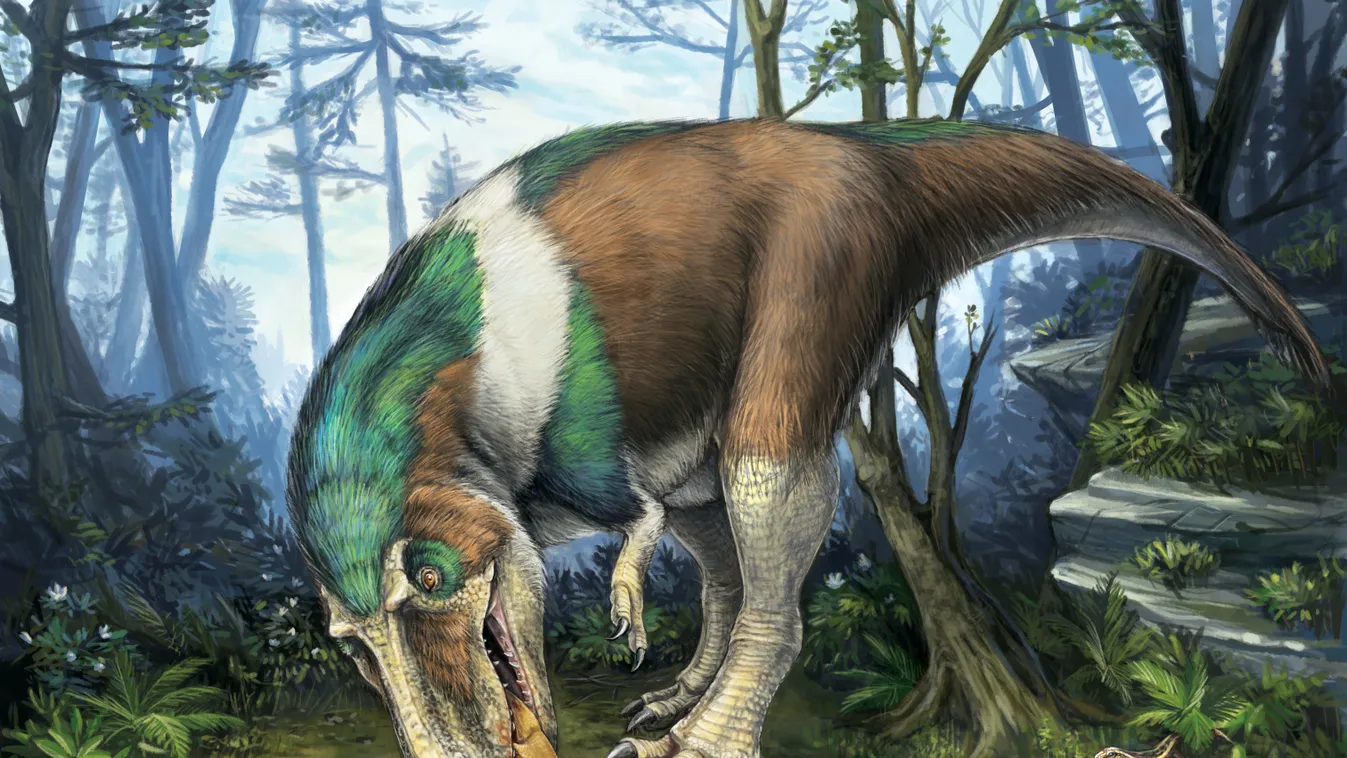 Gorgosaurus 