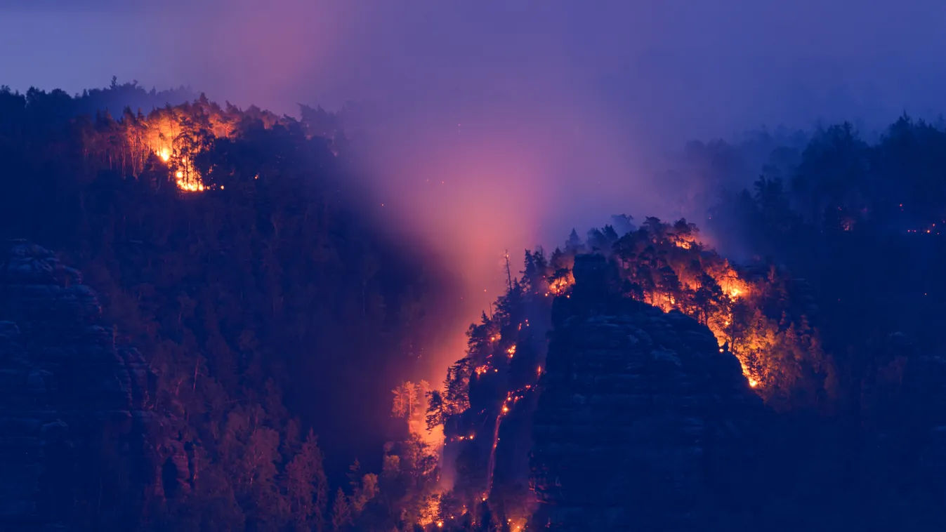 Csehország, Cseh Svájc, erdő, erdőtűz, lángok, lángol, tűz, természet, szárazság 