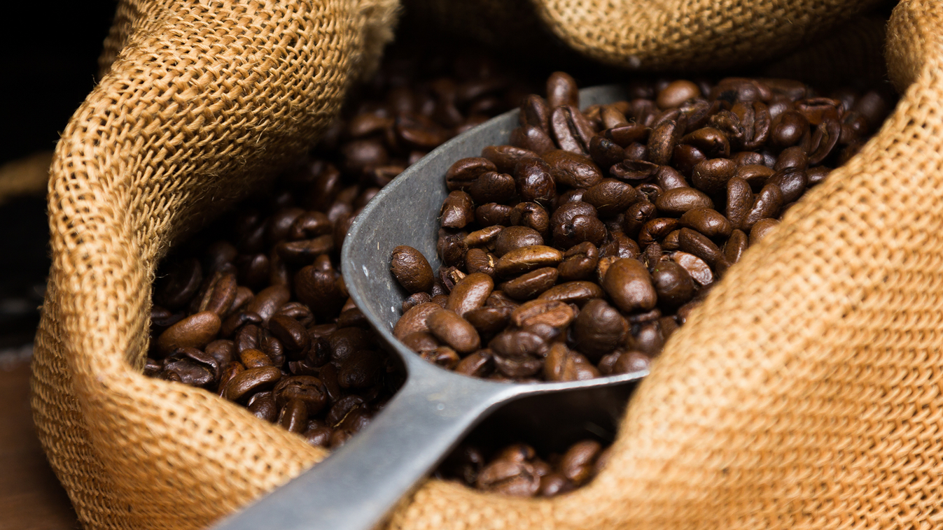 10 tipp, hogy tökéletes kávé kerüljön az asztalodra kávébab 