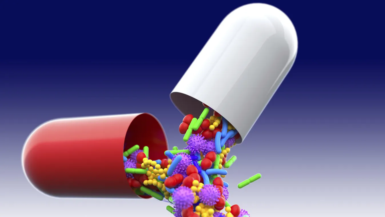 Probiotikum kpszula, gyógyszer capsule, conceptual illustration microbiome gut bacteria VIRUS microbes microbiota artwork 