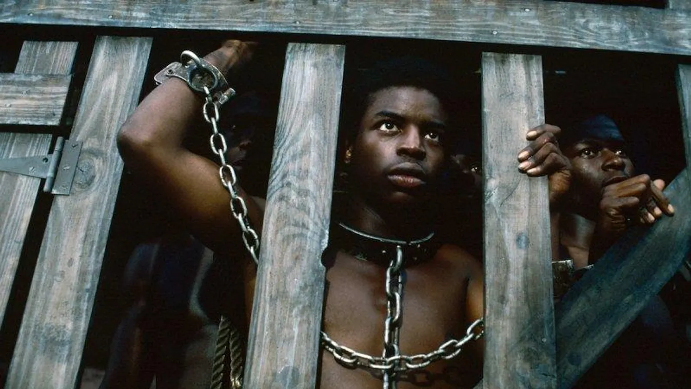 ROOTS ROOTS  - Sunday, Jan. 23-Sunday. Jan. 30, 1977
The 12-hour ABC Novel for Television "Roots", which aired for eight consecutive nights, remains one of TV's landmark programs. Based on Alex Haley's best-selling novel, "Roots" followed 100 tumultuous y