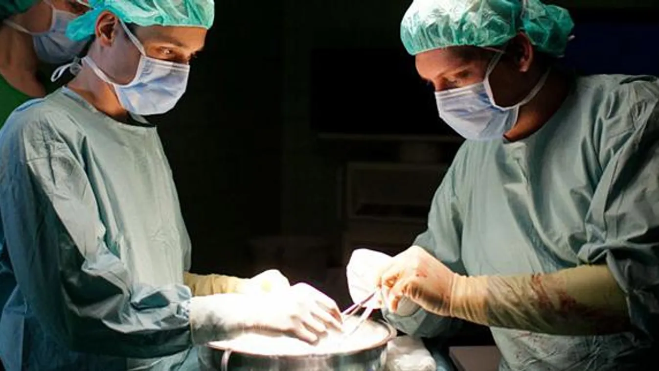 sebészet, transzplantáció, szervátültetés, operáció, műtét, orvos, doktor, műtő, kórház 