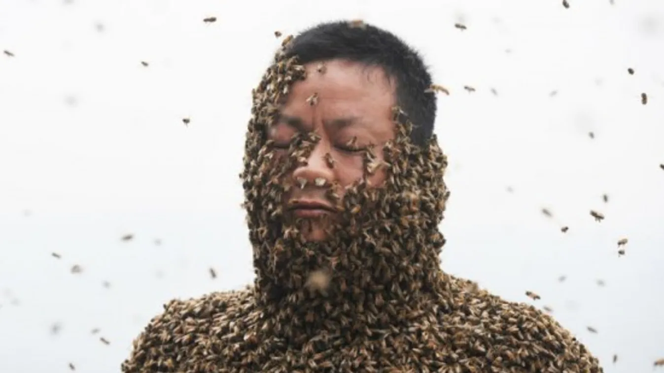 méhek az emberi testén 