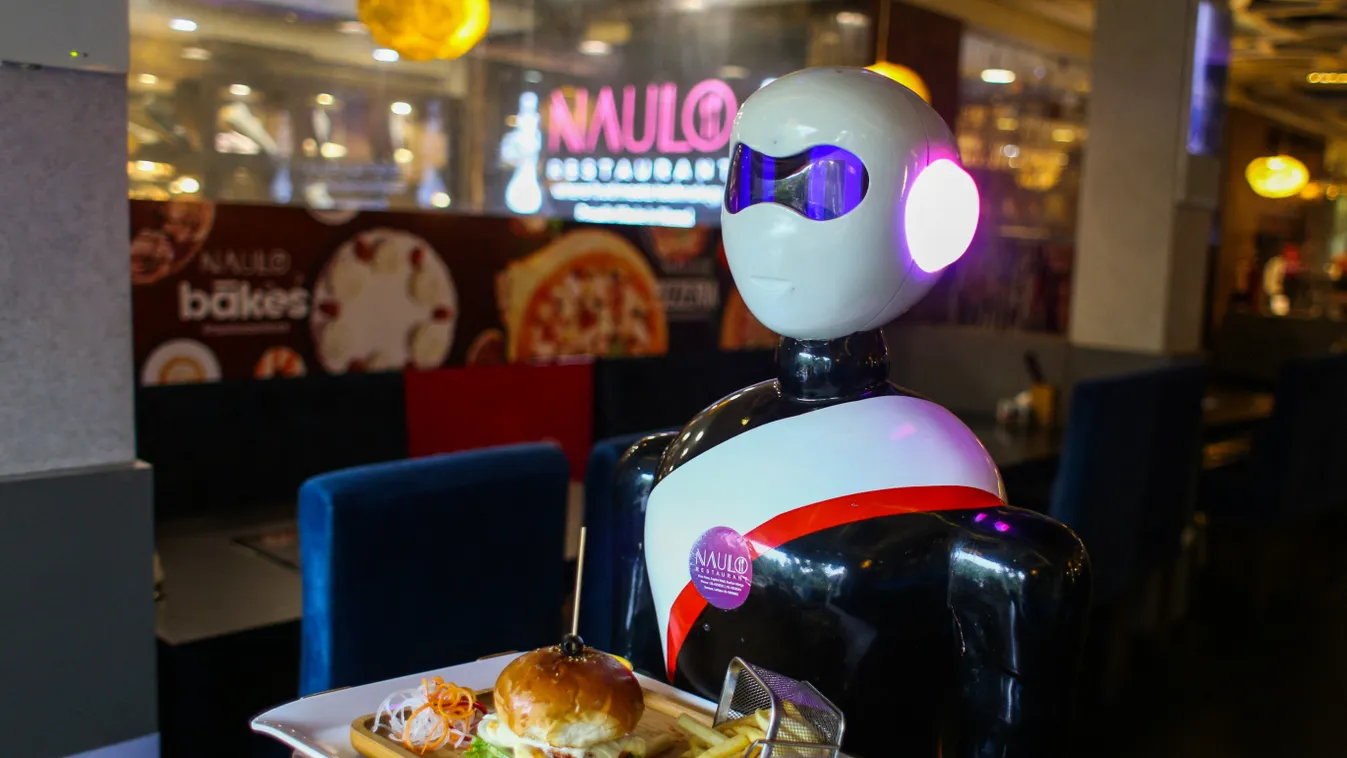 Robot restaurant in Nepal's Kathmandu 2022,attraction,Concepts,culinary,customer,digital,digitalized,F Horizontal 