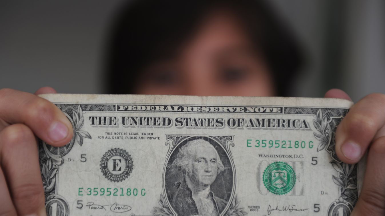a világ valutarendszere, dollár 