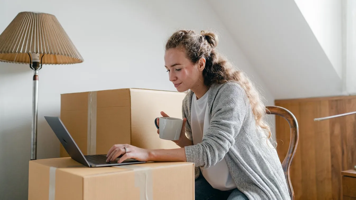 laptop notebook internetezés böngészés számítógép költözködés költözés 