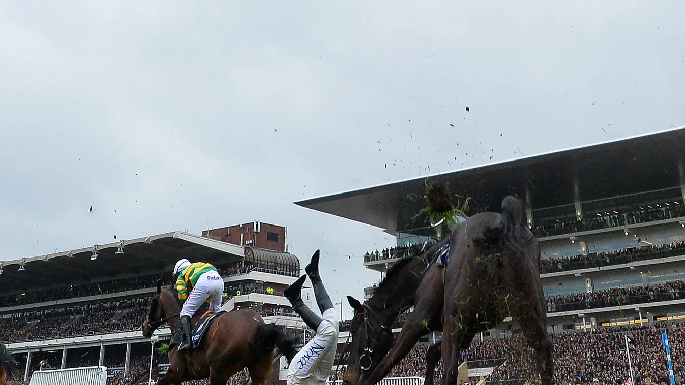 cheltenham festival 