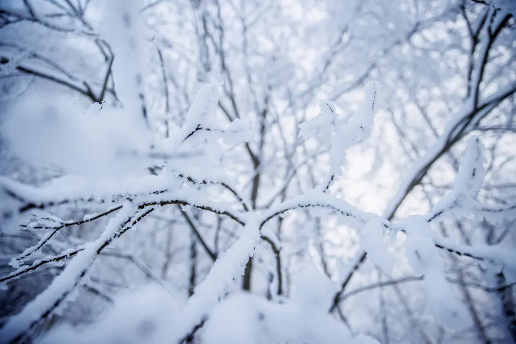 Galyatető, tél, hó, havazás, természet, erdő, Északi-középhegység, 2021.12.10. 
