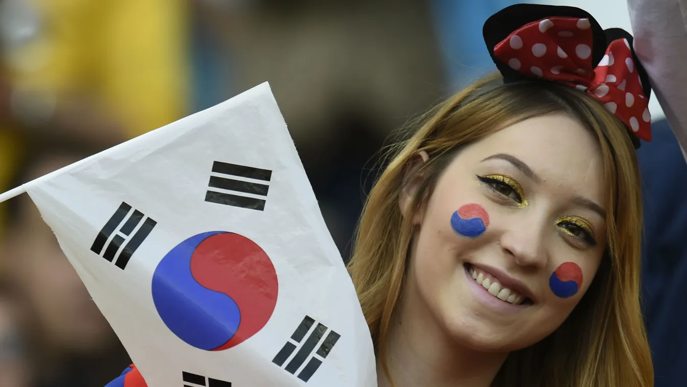 Koreai szurkoló, vb, foci-vb 
