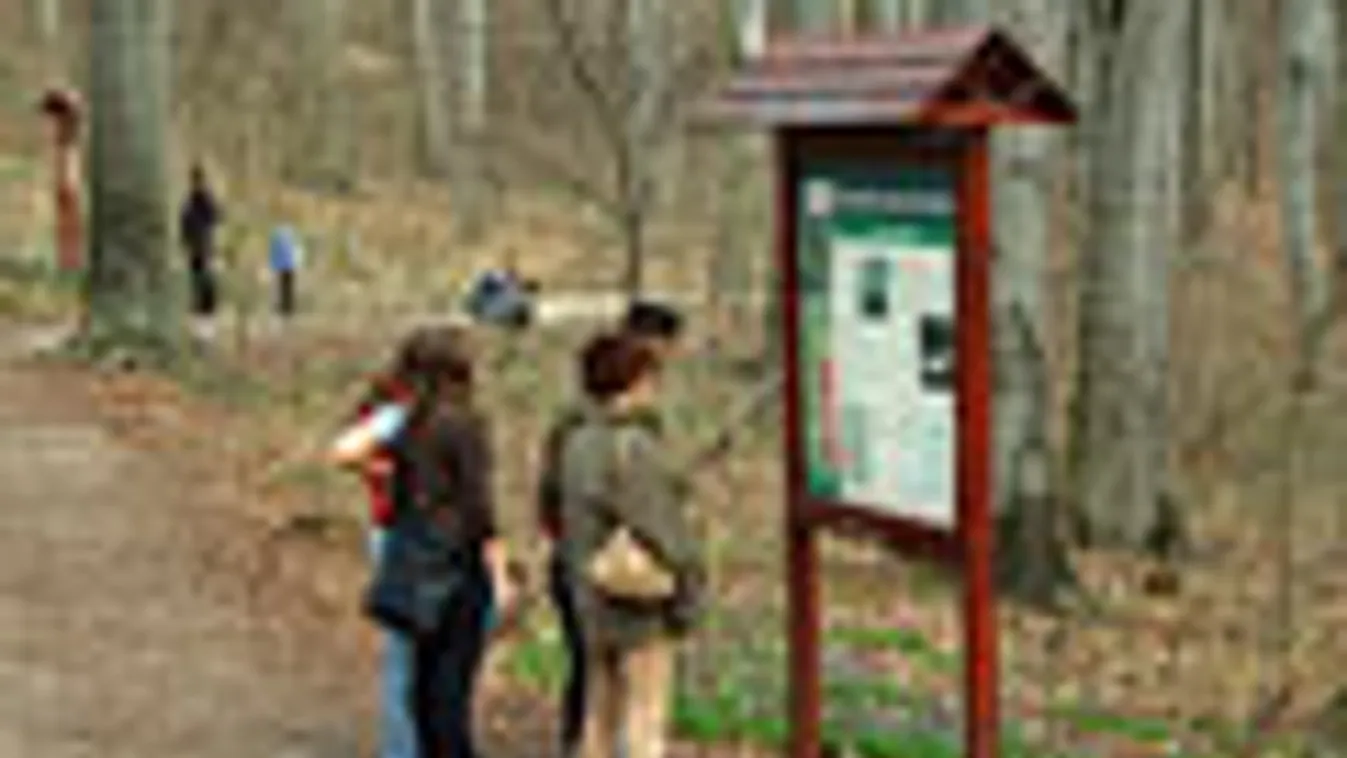 tavasz, Turisták nézik a sétaút mellé kihelyezett tájékoztató táblát a Normafa-lejtő közelében