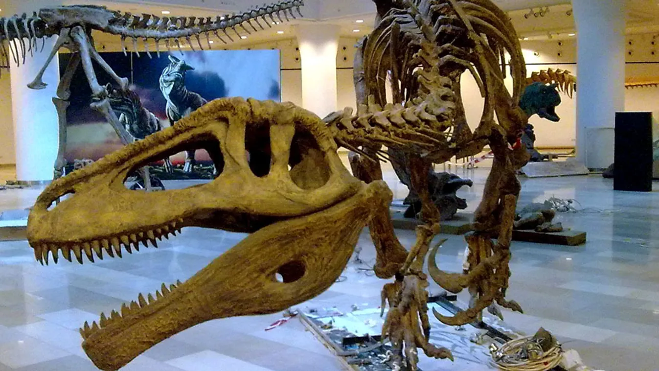 Dinokiállítás, Természettudományi Múzeum