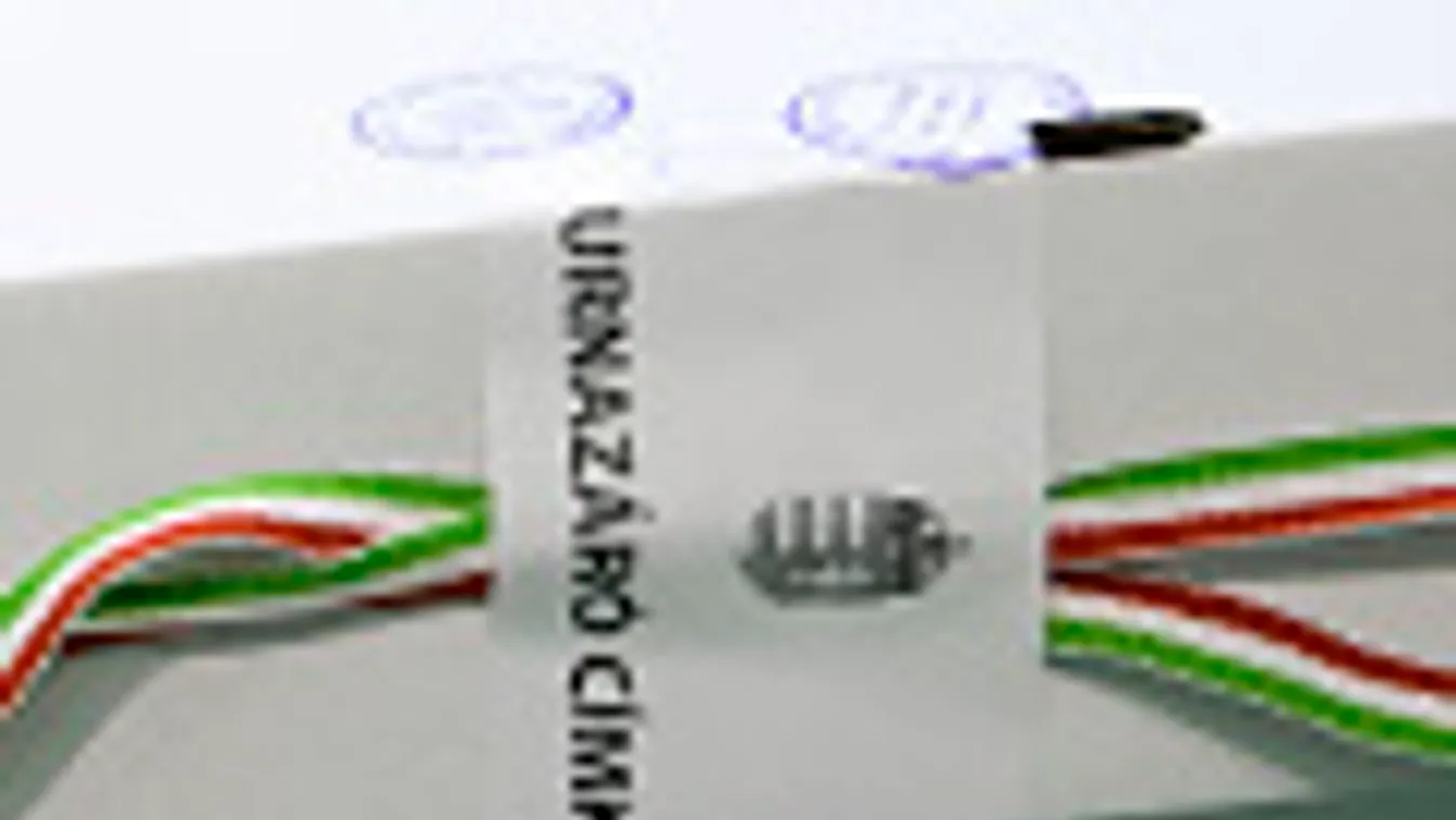 önkormányzati választások 2010, szavazás, urna 