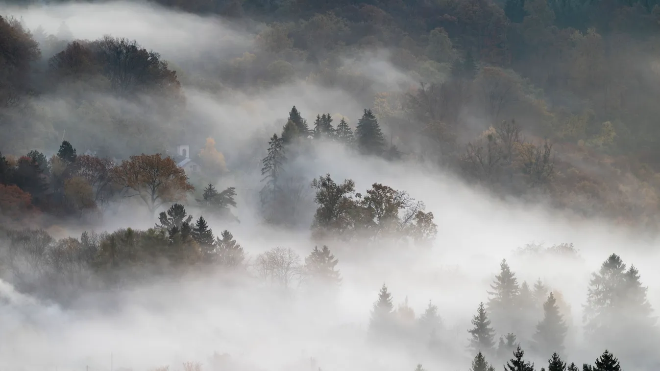 köd, Salgótarján, reggel, időjárás, ősz 