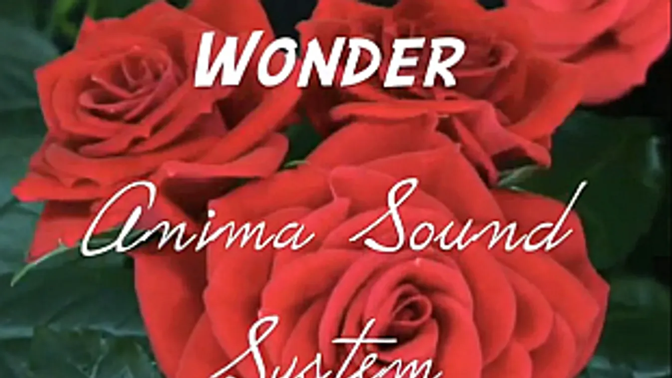 Anima Sound System: Wonder videoklip