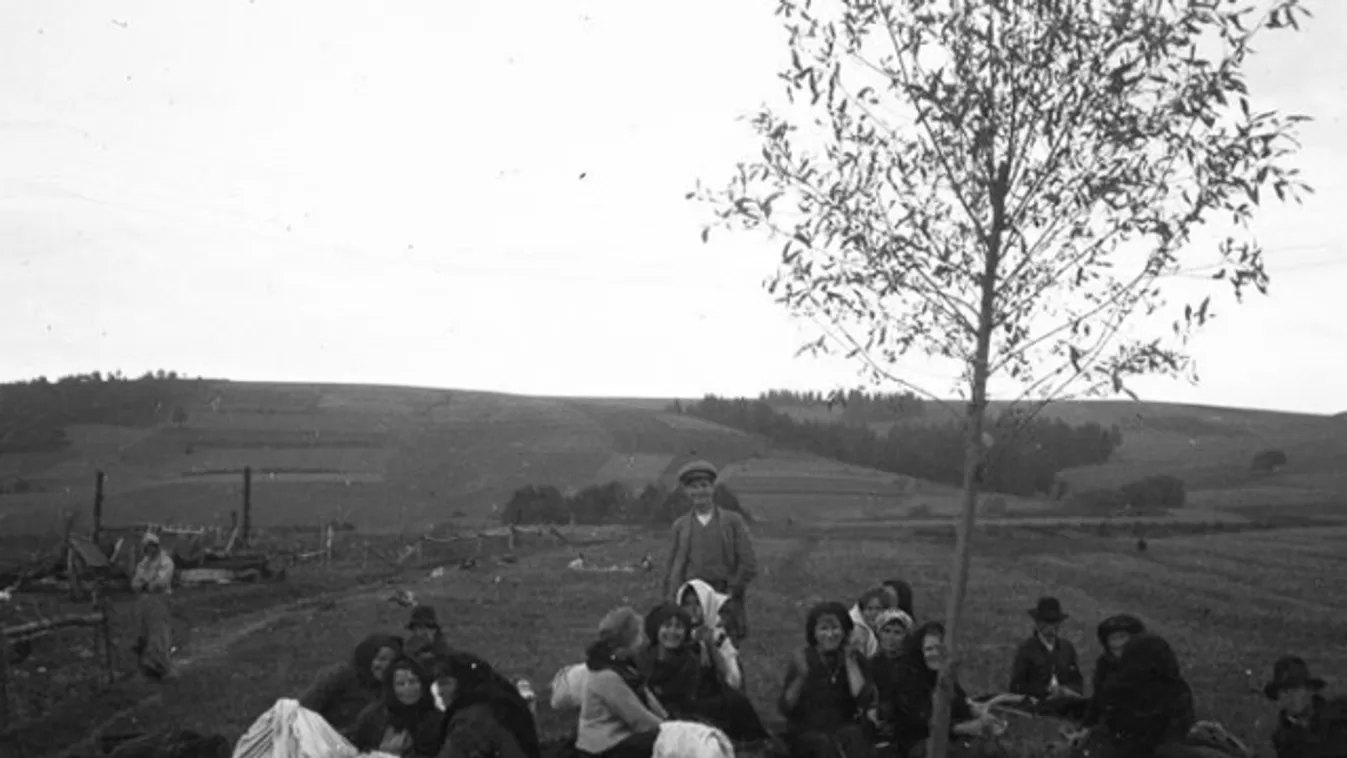 menekültek, 1914 