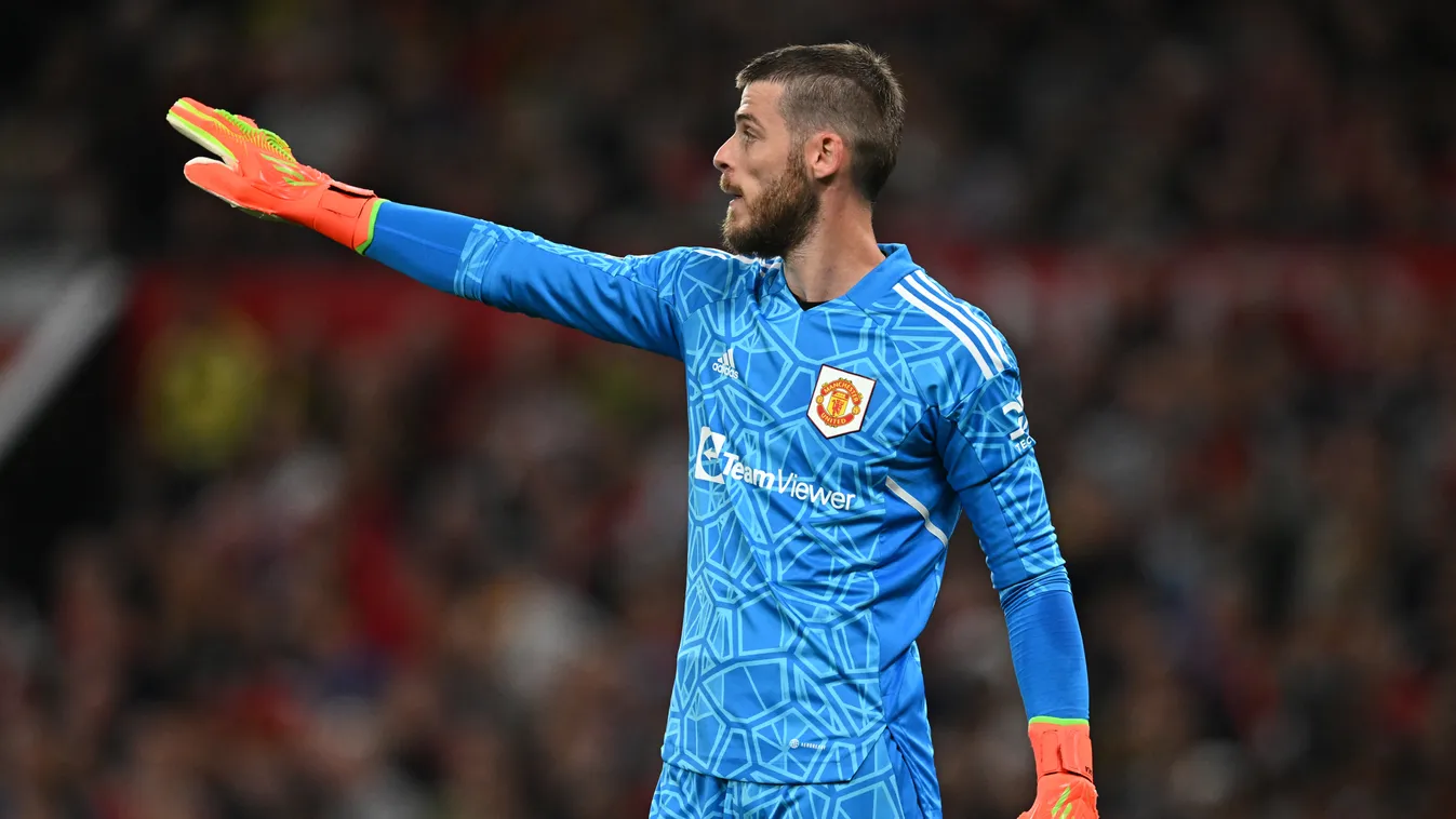 David de Gea 