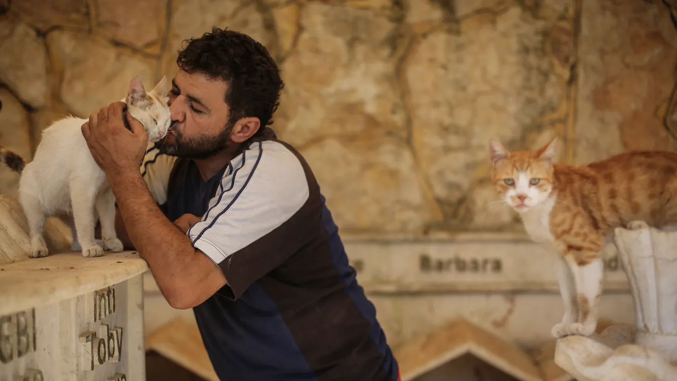 The cat man of Aleppo Unrest, Conflicts and War conflict ANIMAL CHARITY --- 