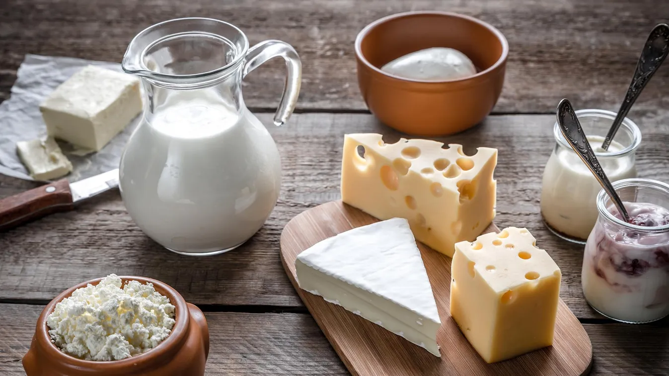 Ez zsír! Zsírégető ételek fogókúrázóknak – Duplázd meg a sikert! tejtermék sajt túró joghurt tej 