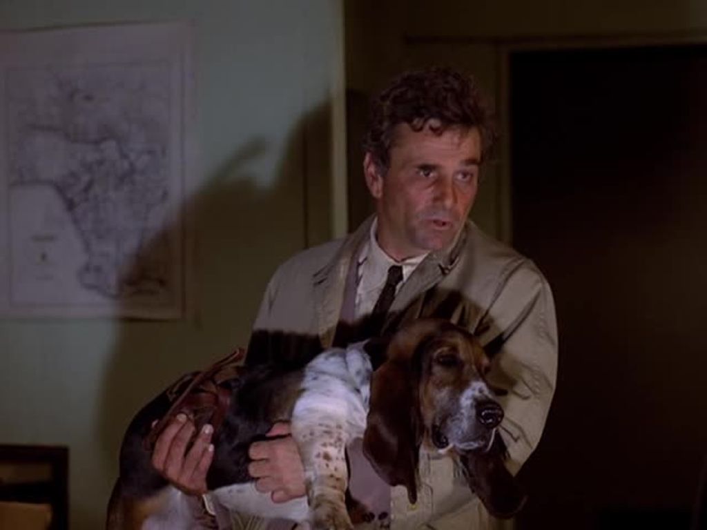 Columbo a kutyájával 