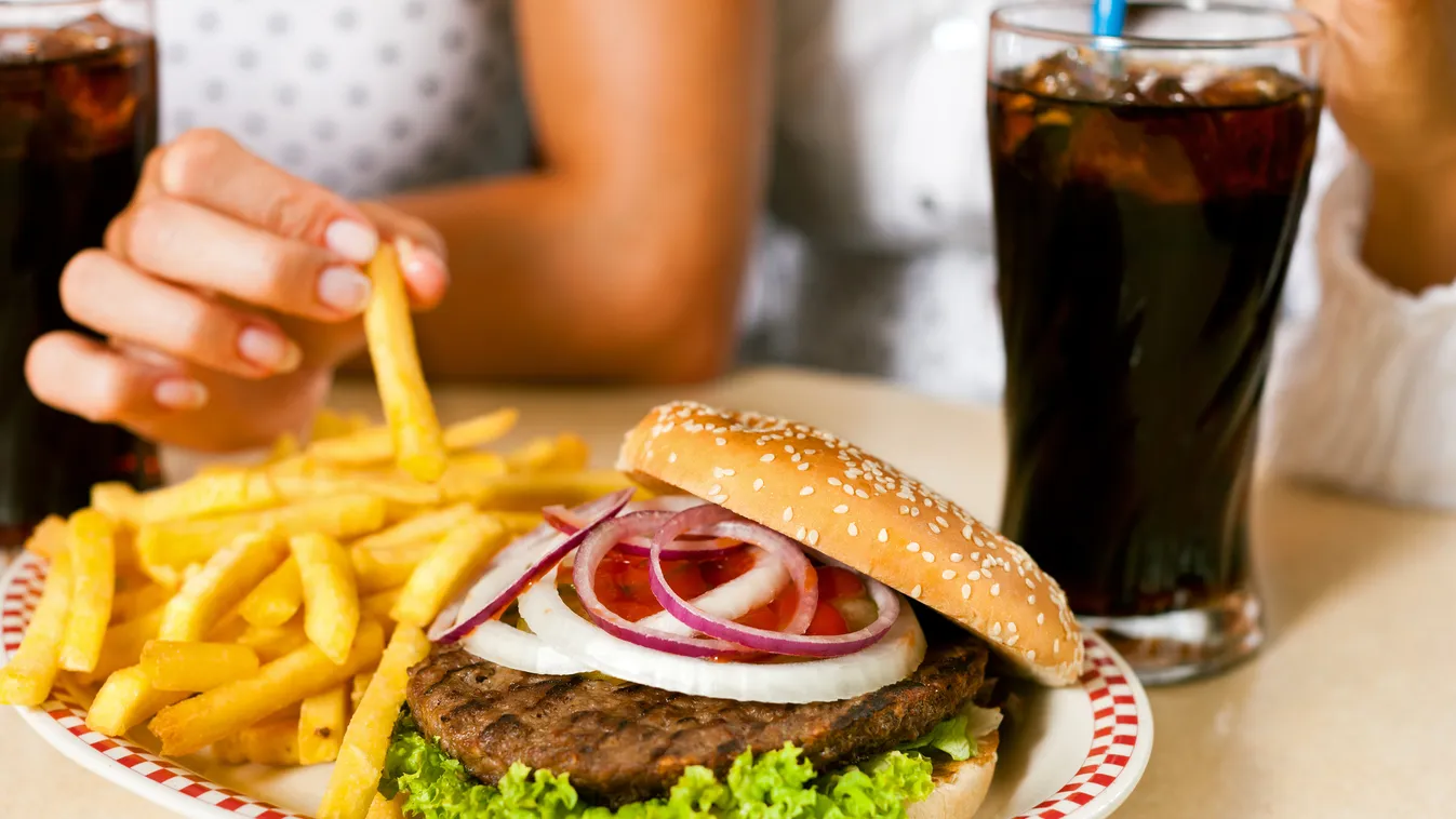 Felejtsd el az éttermeket – Házi kosztot mindenkinek! ez zsír gyors étterem hamburger sült krumpli 