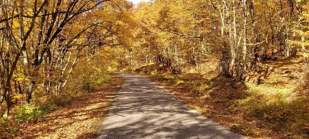 Szelcepuszta turistaszálló 