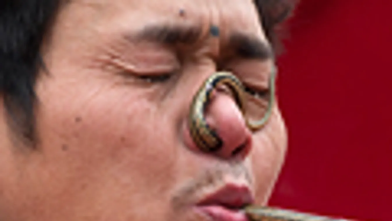 Kígyó az orrban, a hét képei, mutatványos Pekingben