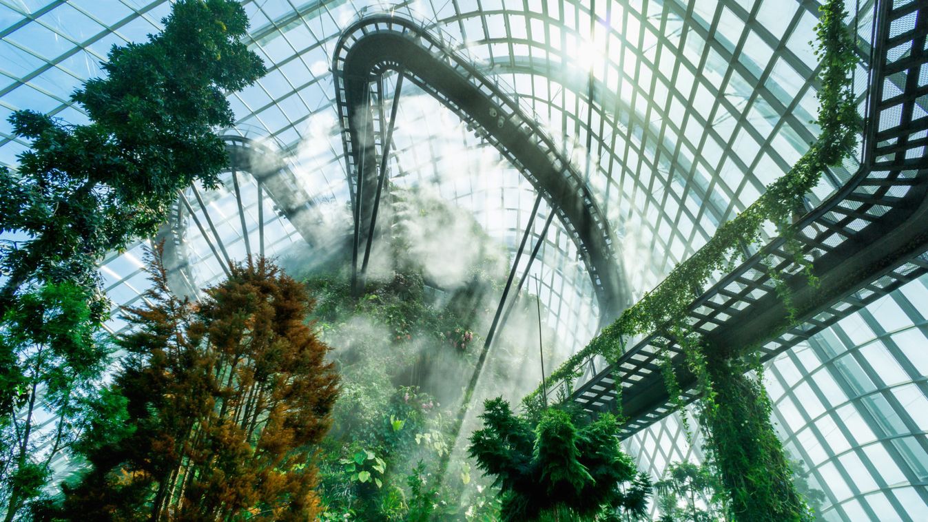 Szingapúr, Cloud forest, üvegház, pálmaház, kert, fedett 
