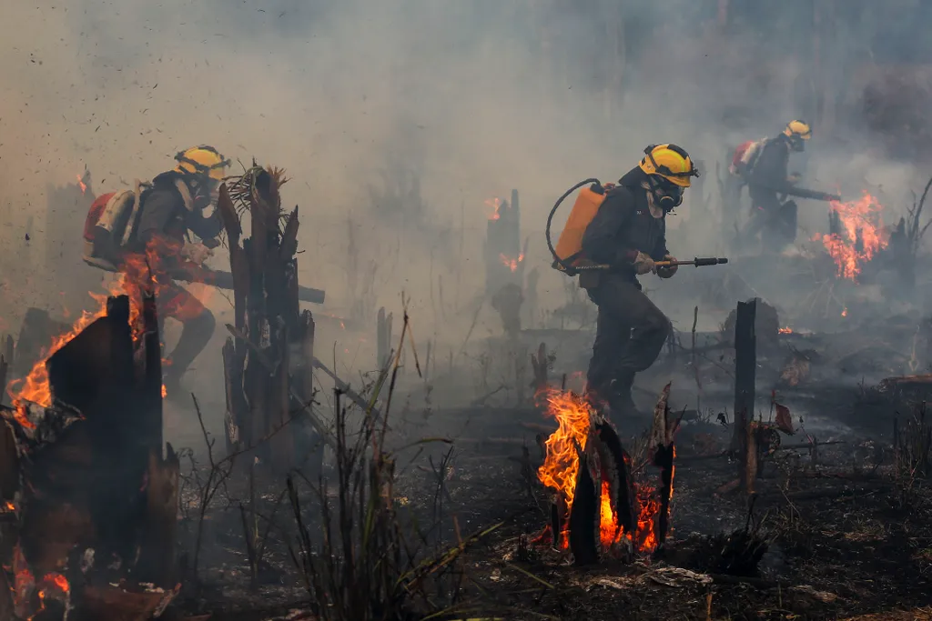 Tűz az Amazonas őserdőben fire environment TOPSHOTS Horizontal 