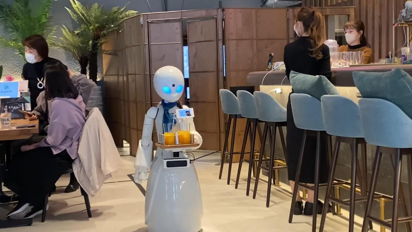 robotpincér, Dawn Avatar Robot Café 