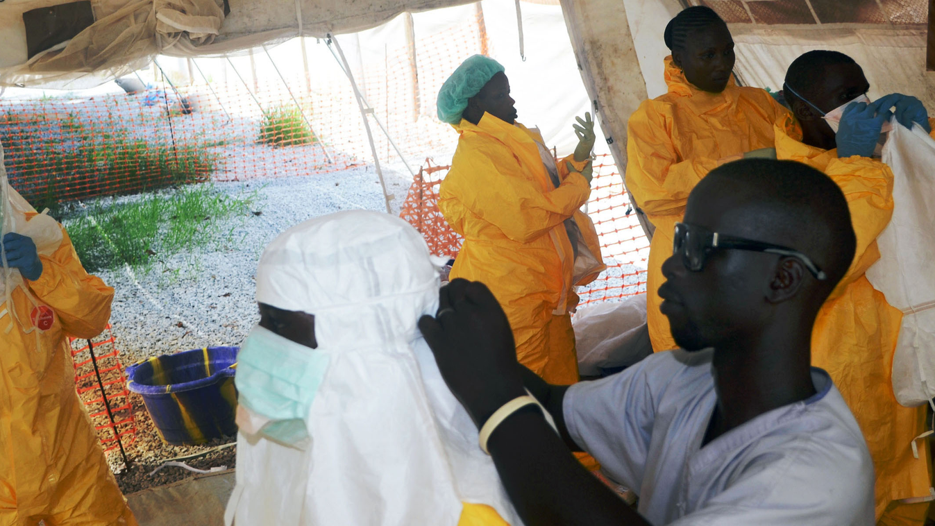Guinea, Ebola, Ebola-járvány, Nyugat-Afrika, WHO, Egészségügyi Világszervezet Ebola-vírus, fertőtlenítés 