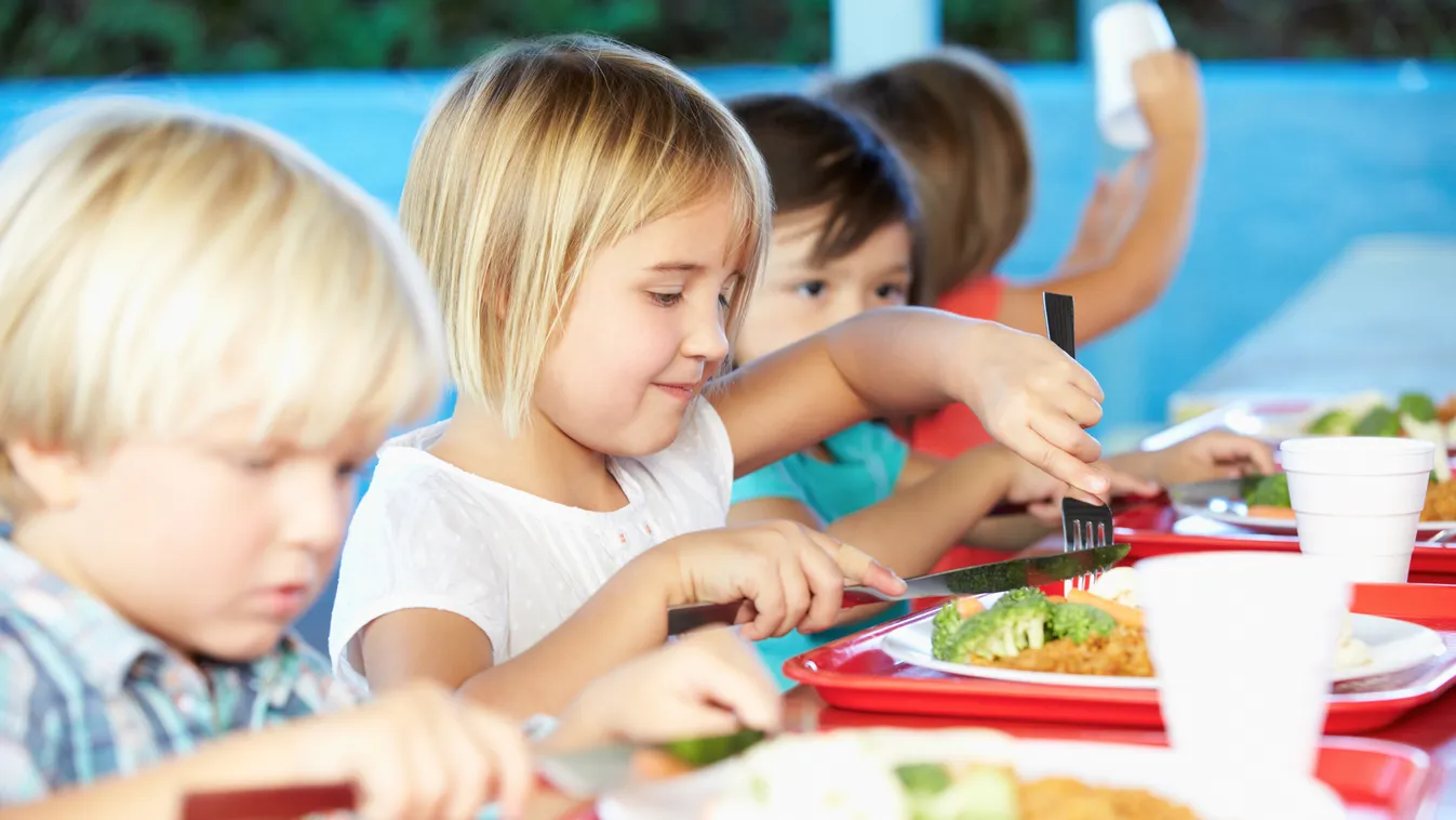 gyerek ebéd menza Ételallergia gyermekkorban – Így élhettek együtt vele! 