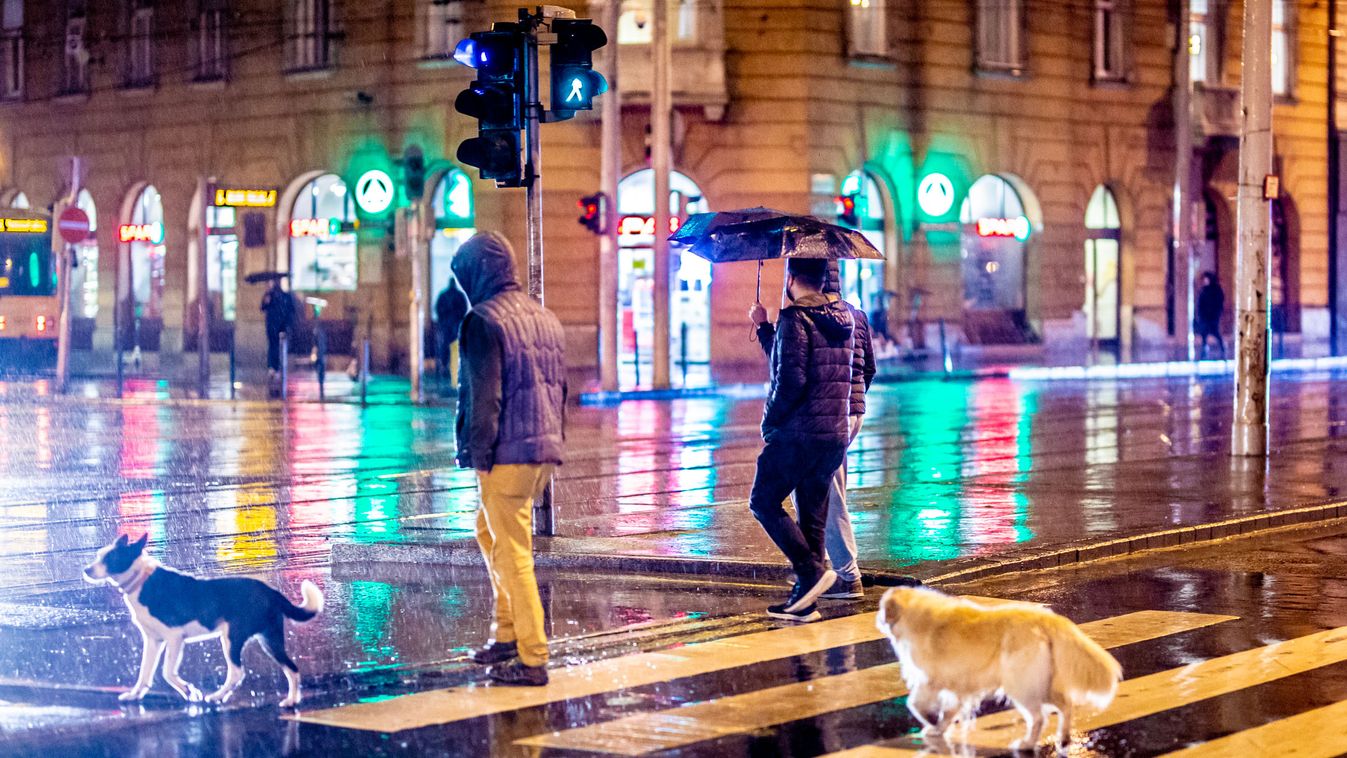 éjszaka, este, sötét, eső, esőzés, zivatar, időjárás, tavasz, április, Budapest, 2021, koronavírus, vírus, járvány, maszk, arcmaszk, védőmaszk, esernyő, kutya 